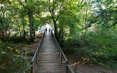 rutas de senderismo con guias profesionales