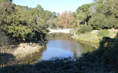 c8a82160-7361-4fee-a9f7-cf0599c96cef_16-9-discover-aspect-ratio_default_0